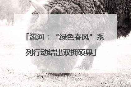 漯河：“绿色春风”系列行动结出双拥硕果