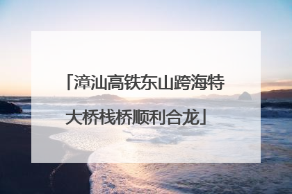 漳汕高铁东山跨海特大桥栈桥顺利合龙