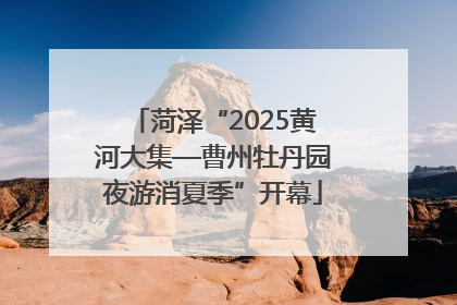 菏泽“2025黄河大集—曹州牡丹园夜游消夏季”开幕