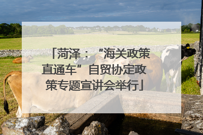菏泽：“海关政策直通车”自贸协定政策专题宣讲会举行