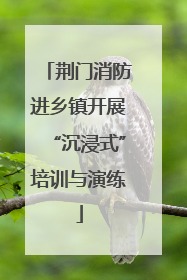 荆门消防进乡镇开展“沉浸式”培训与演练