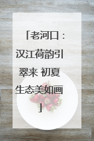 老河口：汉江荷韵引翠来 初夏生态美如画