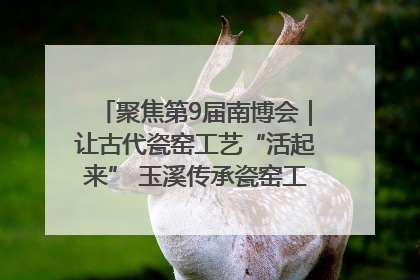 聚焦第9届南博会｜让古代瓷窑工艺“活起来” 玉溪传承瓷窑工艺将出展南博会