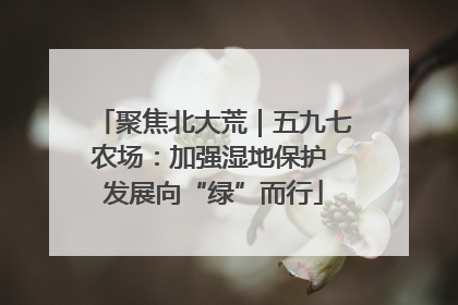 聚焦北大荒｜五九七农场：加强湿地保护 发展向“绿”而行