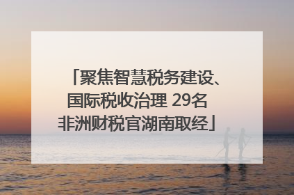 聚焦智慧税务建设、国际税收治理 29名非洲财税官湖南取经