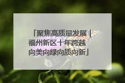 聚焦高质量发展｜福州新区十年跨越 向美向绿向质向新