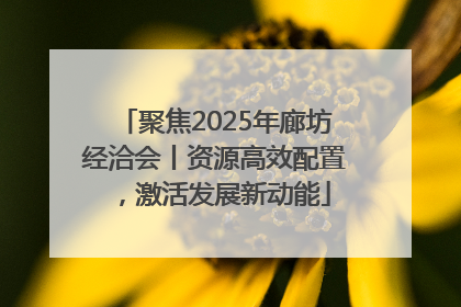 聚焦2025年廊坊经洽会丨资源高效配置，激活发展新动能