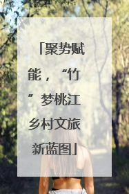 聚势赋能，“竹”梦桃江乡村文旅新蓝图
