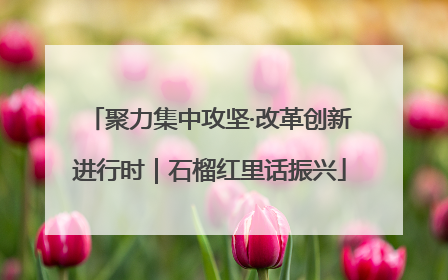 聚力集中攻坚·改革创新进行时｜石榴红里话振兴