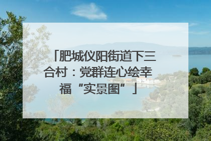 肥城仪阳街道下三合村：党群连心绘幸福“实景图”