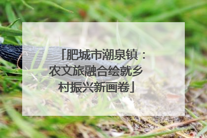 肥城市潮泉镇：农文旅融合绘就乡村振兴新画卷