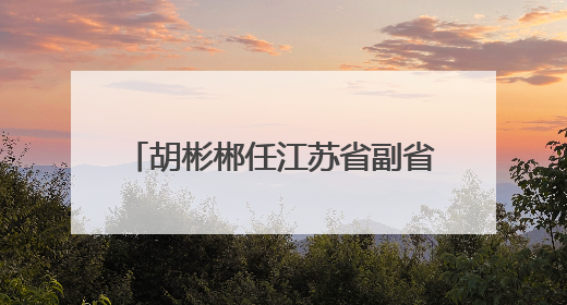 胡彬郴任江苏省副省长、省公安厅厅长