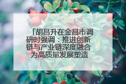 胡昌升在金昌市调研时强调：推进创新链与产业链深度融合 为高质量发展塑造新动能新优势