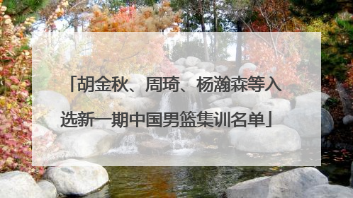 胡金秋、周琦、杨瀚森等入选新一期中国男篮集训名单