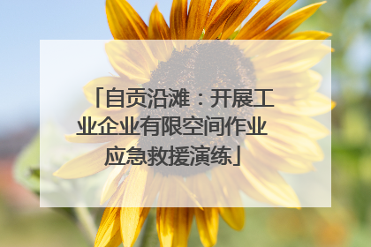 自贡沿滩：开展工业企业有限空间作业应急救援演练
