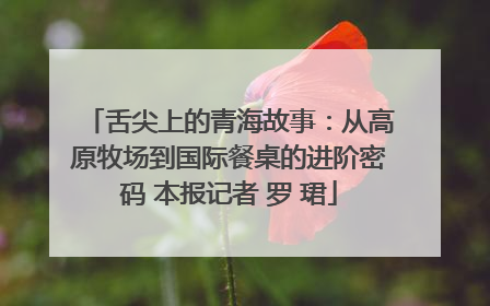 舌尖上的青海故事：从高原牧场到国际餐桌的进阶密码 本报记者 罗 珺