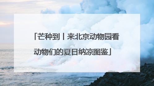芒种到丨来北京动物园看动物们的夏日纳凉图鉴