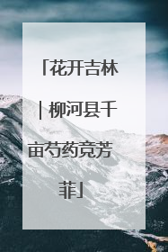 花开吉林｜柳河县千亩芍药竞芳菲