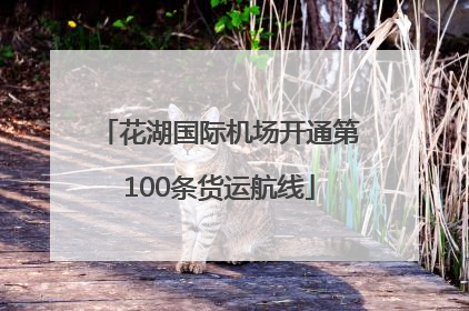 花湖国际机场开通第100条货运航线