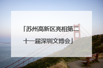 苏州高新区亮相第二十一届深圳文博会