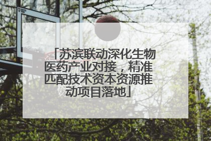 苏滨联动深化生物医药产业对接，精准匹配技术资本资源推动项目落地