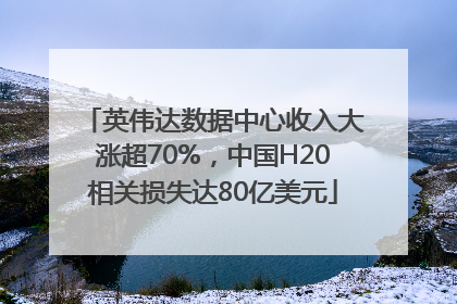 英伟达数据中心收入大涨超70%，中国H20相关损失达80亿美元