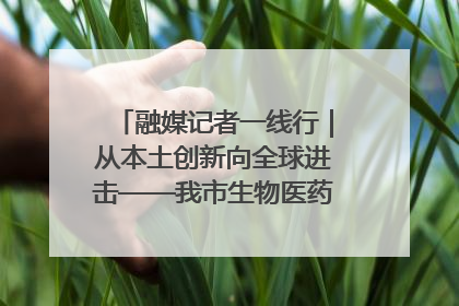融媒记者一线行｜从本土创新向全球进击——我市生物医药产业破茧突围