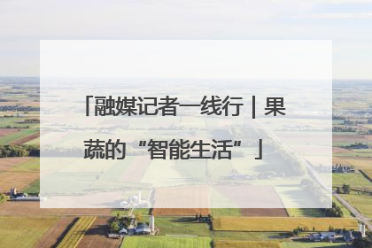 融媒记者一线行｜果蔬的“智能生活”