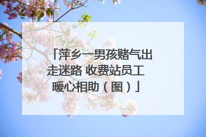 萍乡一男孩赌气出走迷路 收费站员工暖心相助（图）