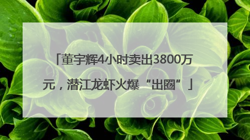 董宇辉4小时卖出3800万元，潜江龙虾火爆“出圈”