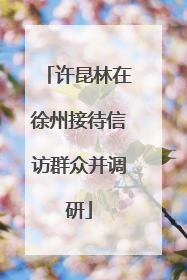 许昆林在徐州接待信访群众并调研