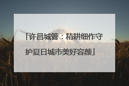 许昌城管：精耕细作守护夏日城市美好容颜