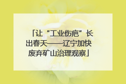 让“工业伤疤”长出春天——辽宁加快废弃矿山治理观察