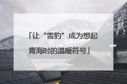 让“雪豹”成为想起青海时的温暖符号