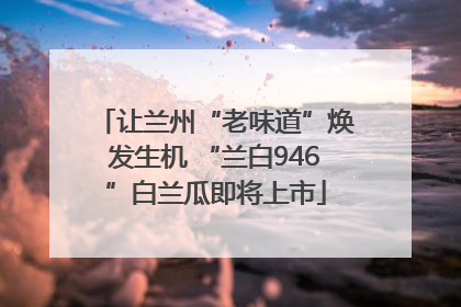 让兰州“老味道”焕发生机 “兰白946”白兰瓜即将上市