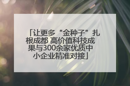 让更多“金种子”扎根成都 高价值科技成果与300余家优质中小企业精准对接