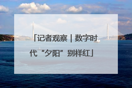 记者观察｜数字时代“夕阳”别样红