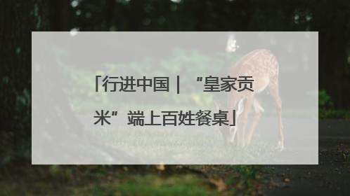 行进中国｜“皇家贡米”端上百姓餐桌