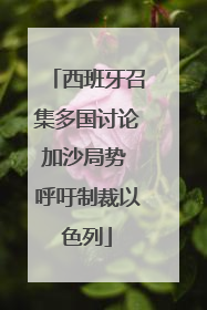 西班牙召集多国讨论加沙局势 呼吁制裁以色列