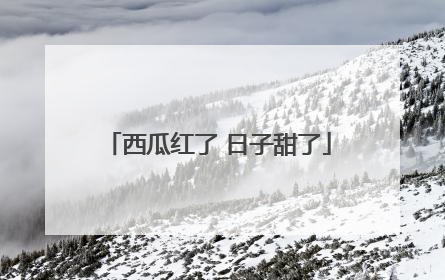 西瓜红了 日子甜了