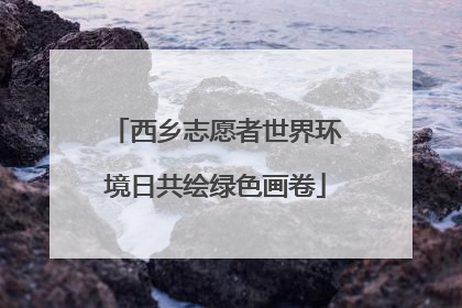 西乡志愿者世界环境日共绘绿色画卷