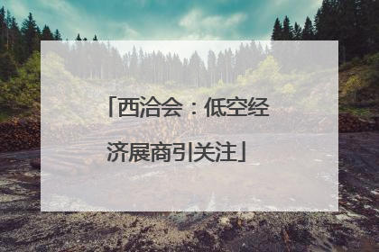 西洽会：低空经济展商引关注
