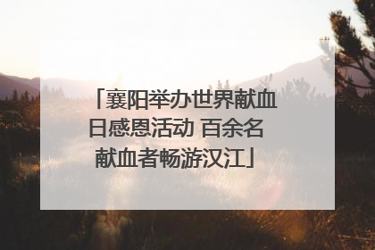 襄阳举办世界献血日感恩活动 百余名献血者畅游汉江