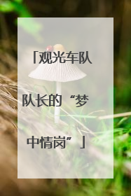 观光车队队长的“梦中情岗”