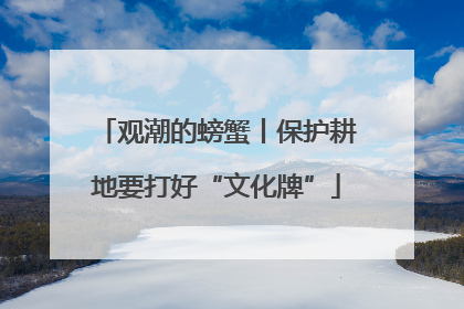 观潮的螃蟹丨保护耕地要打好“文化牌”