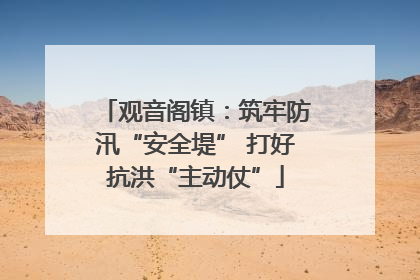 观音阁镇：筑牢防汛“安全堤” 打好抗洪“主动仗”