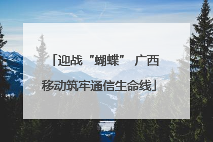 迎战“蝴蝶” 广西移动筑牢通信生命线