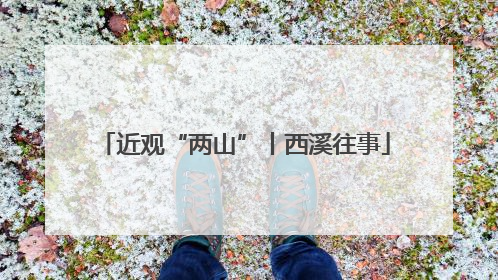 近观“两山”丨西溪往事