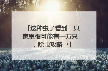 这种虫子看到一只家里很可能有一万只，除虫攻略→