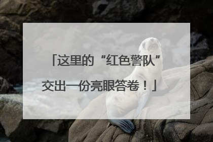 这里的“红色警队”交出一份亮眼答卷！
